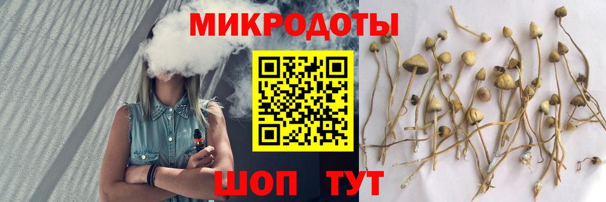 Галлюциногенные грибы мицелий Надым
